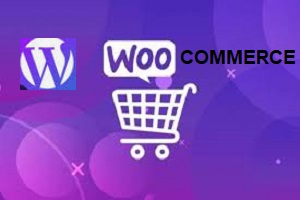 woocommerce1-300×200